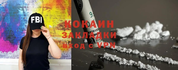 дживик Осинники