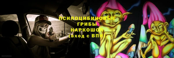 шишки Остров