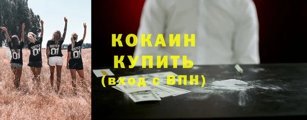 дживик Осинники