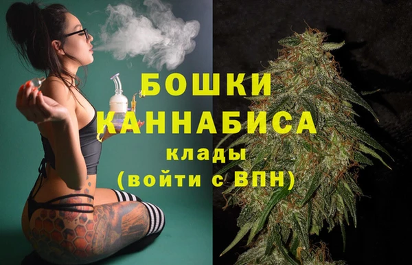 дживик Осинники