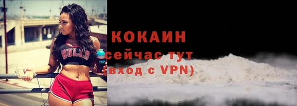 шишки Осташков