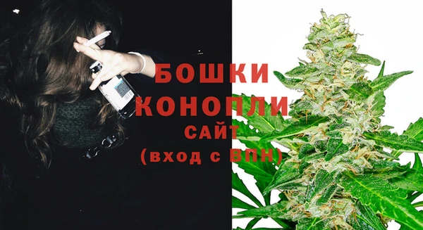 шишки Осташков