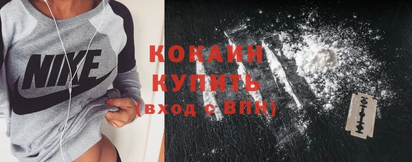 дживик Осинники