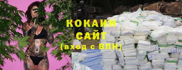 шишки Осташков