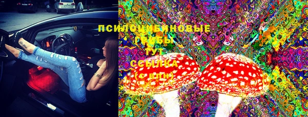 гидропоника Няндома