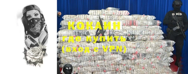 дживик Осинники