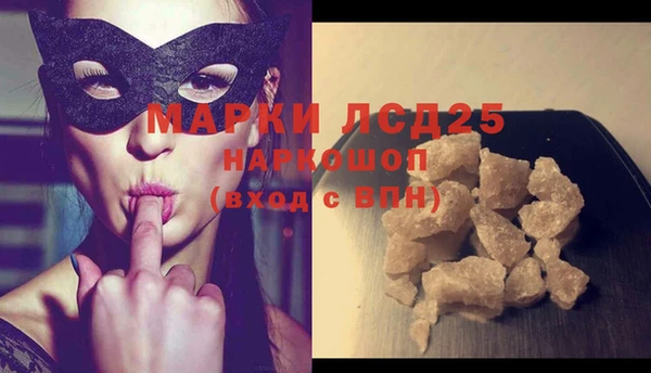 шишки Осташков