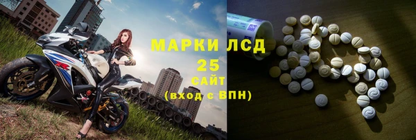 дживик Осинники