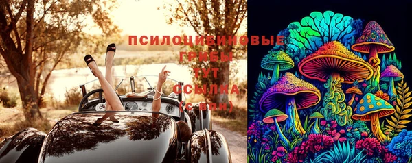 дживик Осинники