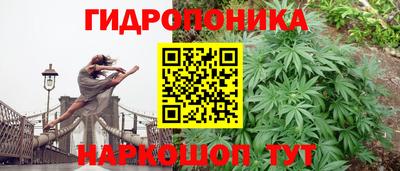 СК Сланцы
