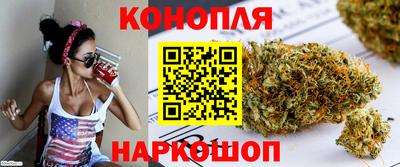 СК Сланцы