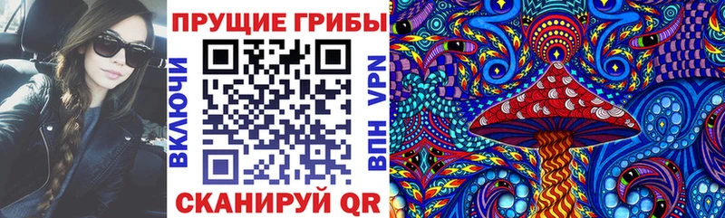 Галлюциногенные грибы Cubensis  это официальный сайт  Урус-Мартан  даркнет сайт 